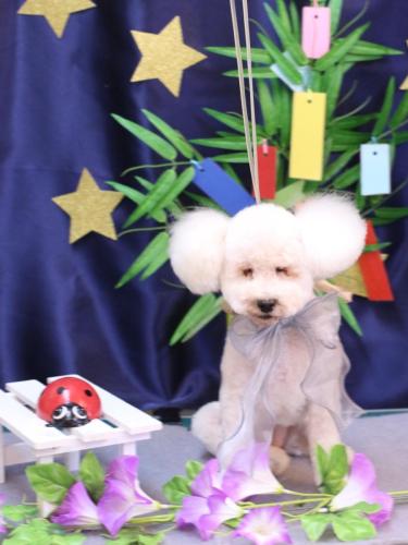 20230730あんちゃん